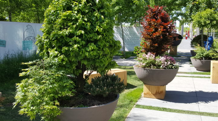 Kleine Gehölze Foto: Julia Hagemeister