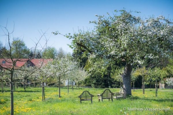 Cristine Bendix, Foto: Matthias Wasserschaff