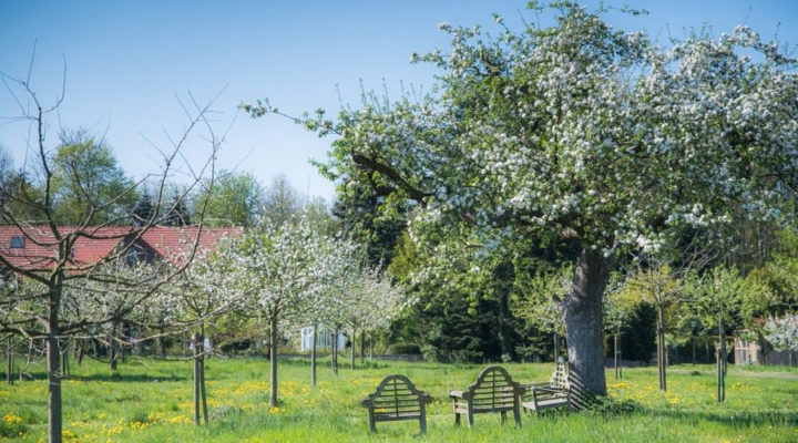 Cristine Bendix, Foto: Matthias Wasserschaff