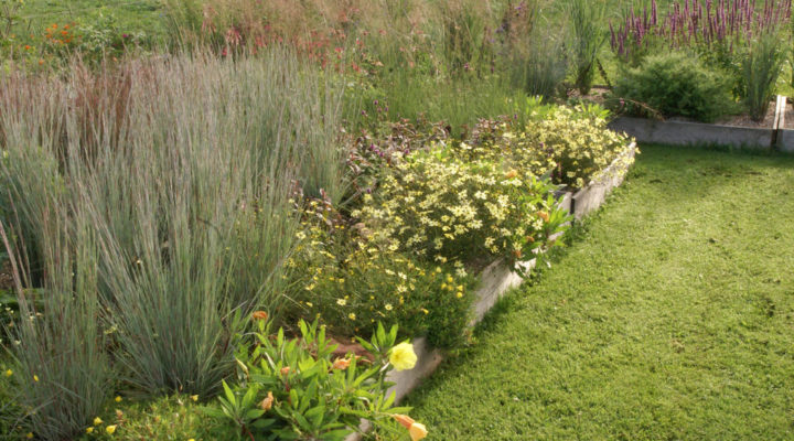 Foto: Till Hofmann, Gärtnern mit Sand