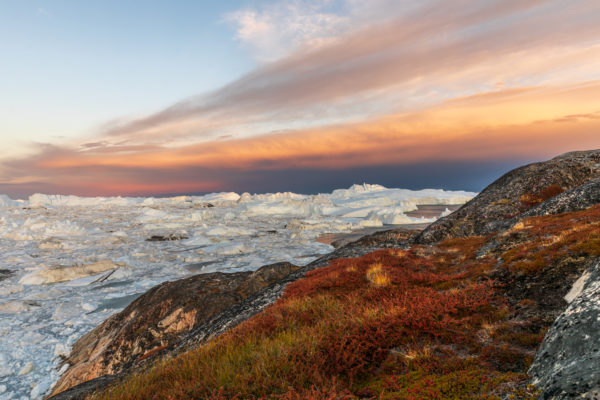 Grönland Ilulissat, Foto: Sylvia Knittel