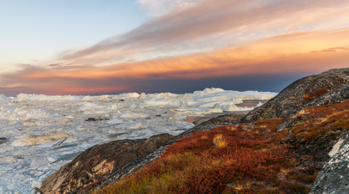 Grönland Ilulissat, Foto: Sylvia Knittel