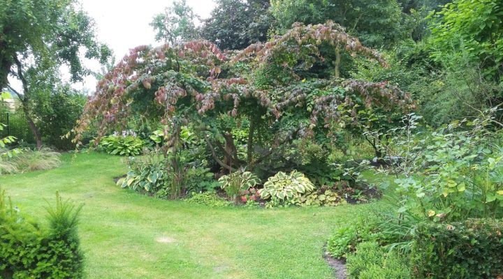 Foto: Barbara Gerlach