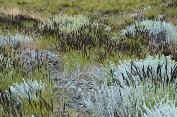 Foto: Sven Nürnberger