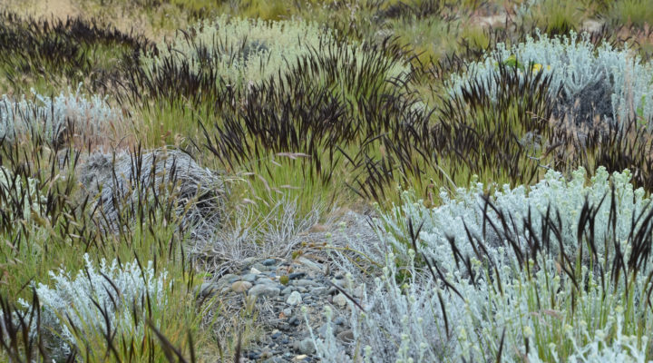 Foto: Sven Nürnberger