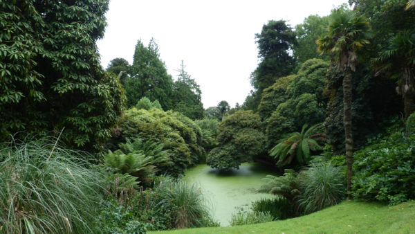 Foto: Julia Hagemeister Lost Gardens of Heligan