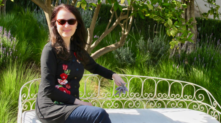 Daniela David, Journalistin, Autorin