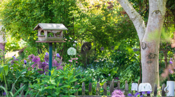 Foto: Sylvia Knittel