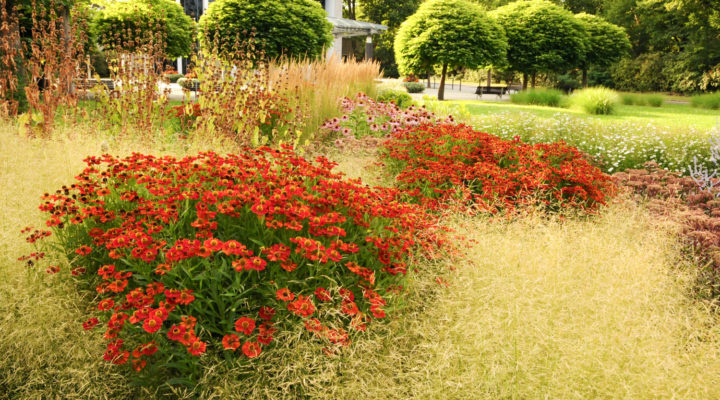 Foto: Joachim Hegmann