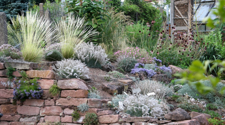 Foto: Thomas Eidmann, Dornpolsterflur , trockenheitsverträgliche Pflanzkombinationen