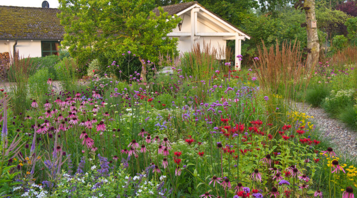 Präriegarten, Foto: Annette Timmermann
