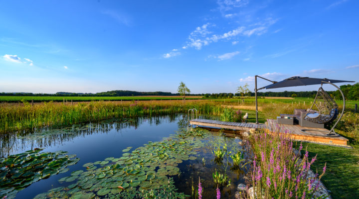 Schwimmteich, Foto: Friedrich Jansenberger