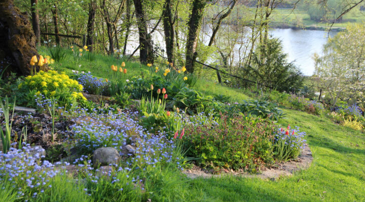 Foto: Dorothea Steffen