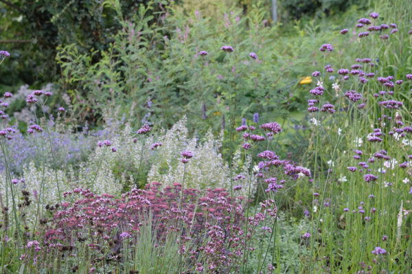 Foto: Hermann Gröne