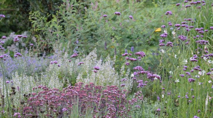 Foto: Hermann Gröne