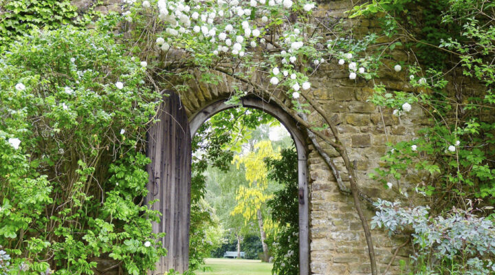 Munstead Wood, Foto: Anja Birne