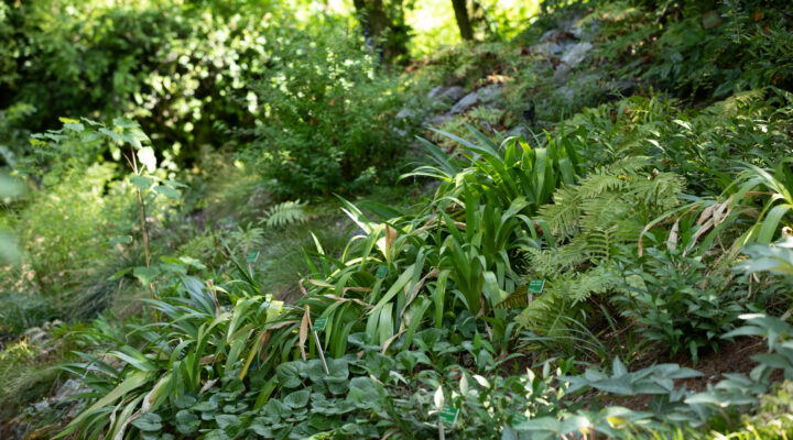 Foto: Sylvia Knittel